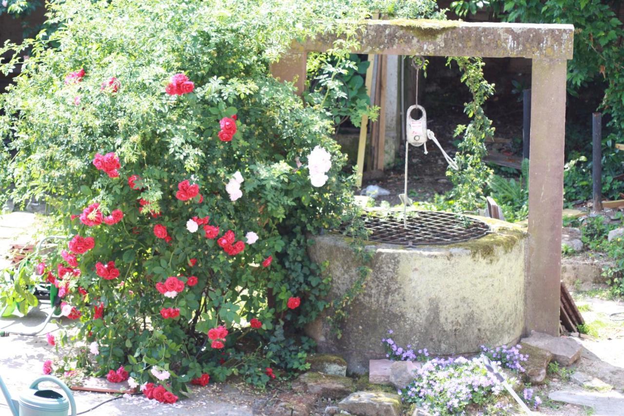 La Grange Aux Coqs Bed & Breakfast Ittenheim Dış mekan fotoğraf